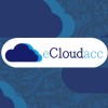 eCloudacc Support Services