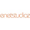 ENETSTUDIOZ INC