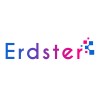 Erdster Information Systems Private Limited