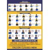 falcon classes india