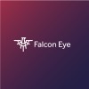 falconeye marketing agency