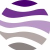 Focus Geospatial Private Limited