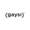 Gaysi Family
