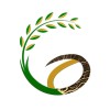 Grainalchemy logo
