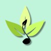 Immer Organic