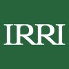 International Rice Research Institute