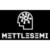 Mettlesemi Systems and Technologies Private Limited