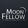 MoonFellow IT Solutions Pvt Ltd