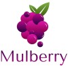 Mulberry Solutions