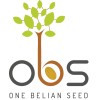 One Belian Seed