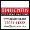 OPULENTUS - THE VISA COMPANY