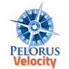 pelorus velocity