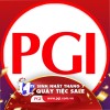 PGI company