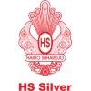 PT HSWS (HS Silver)