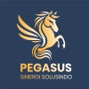 pt pegasus sinergi solusindo