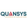 QUANSYS INDIA PROJECT MANAGEMENT CONSULTANT
