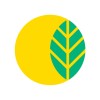 renevik solar