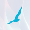 Seagull Advertising