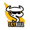 SkyBull Gaming Studio