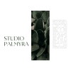 Studio Palmyra