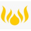 Sumeru Digital Solutions logo