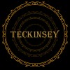 Teckinsey Consulting Pvt Ltd logo