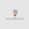 The Professional World