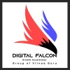 vgdigital falcon
