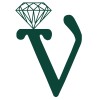 Vijay Gems And Jewellery logo