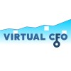 Virtual CFO Services Private Limited logo