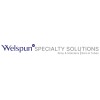 Welspun Specialty Solutions Limited