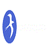 Anshi Immigration Private Limited