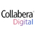 Collabera Technologies Private Limited Inc