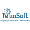 Teizo Soft Private Limited logo