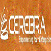 Cerebra IT Services Private Limited logo