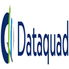 DATAQUAD IT SOLUTIONS PRIVATE LIMITED
