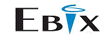 Ebix Software India Private Limited logo