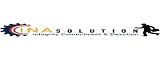 INA Solution logo