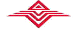 Vijai Electricals Limited logo