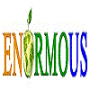 Enormous IT Services Private Limited logo