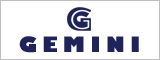 Gemini Solutions Pvt Ltd