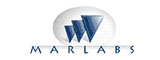 Marlabs Innovations Private Limited Jobs