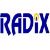 Radix Systems Services Corporation Philippines