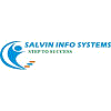 Salvin Info Systems logo