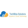 Techbliss Digital Solution Private Limited